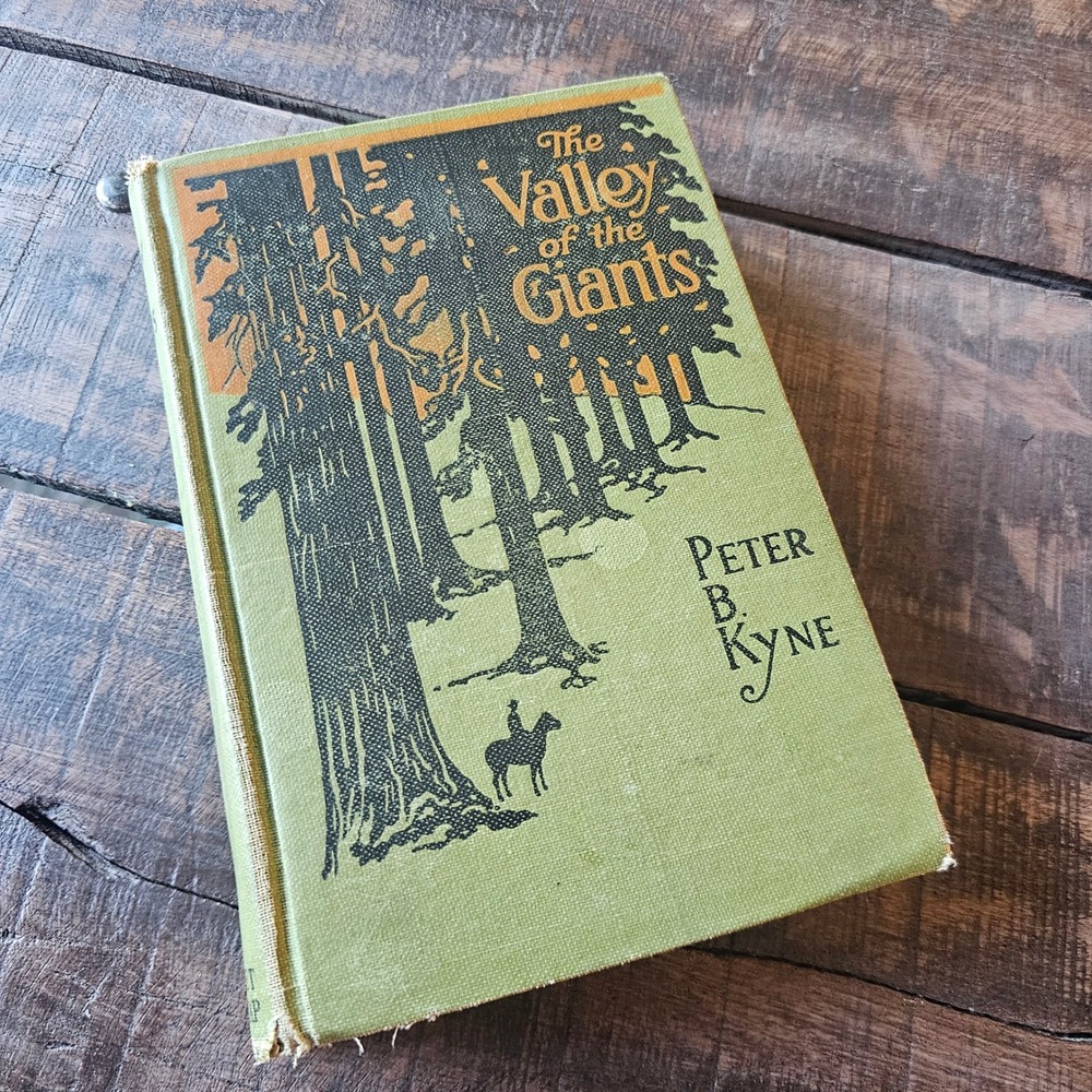 The Valley of the Giants Peter B Kyne Grosset Dunlap Vintage Hardcover Book 1918